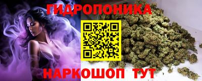 круглые Гусев