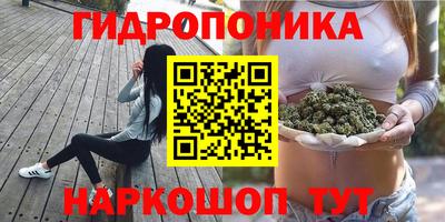 стаф Гусь-Хрустальный