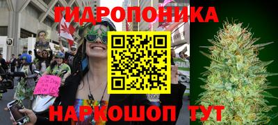 стаф Гусь-Хрустальный