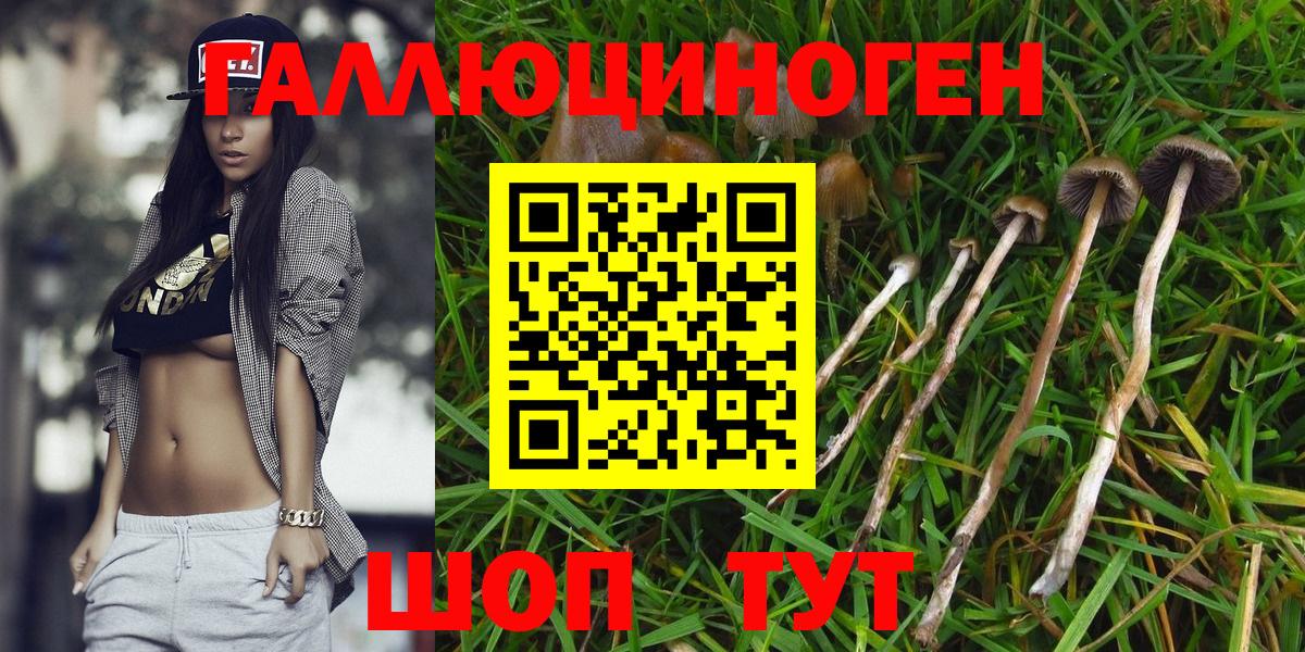 Псилоцибиновые грибы Psilocybe  Псилоцибиновые грибы Magic Shrooms  Новочеркасск  Вход с VPN 